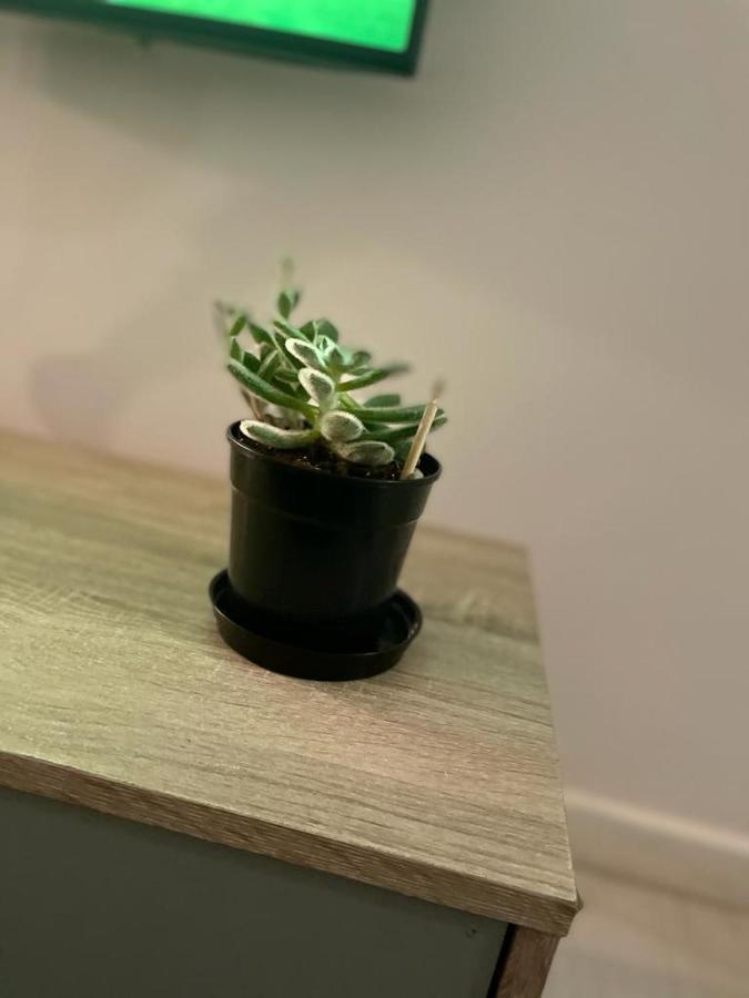 Cozy And Stylish Room Cape Town Ngoại thất bức ảnh